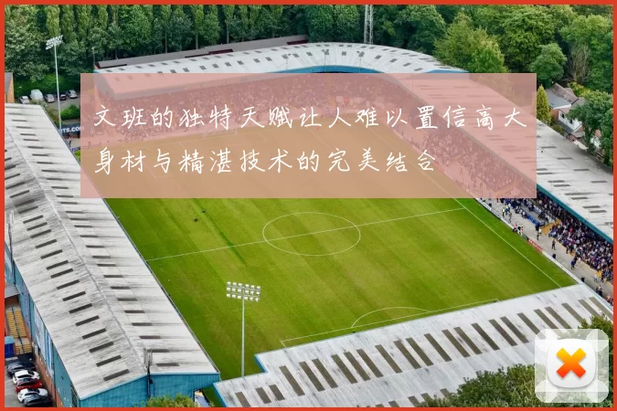 文班的独特天赋让人难以置信高大身材与精湛技术的完美结合